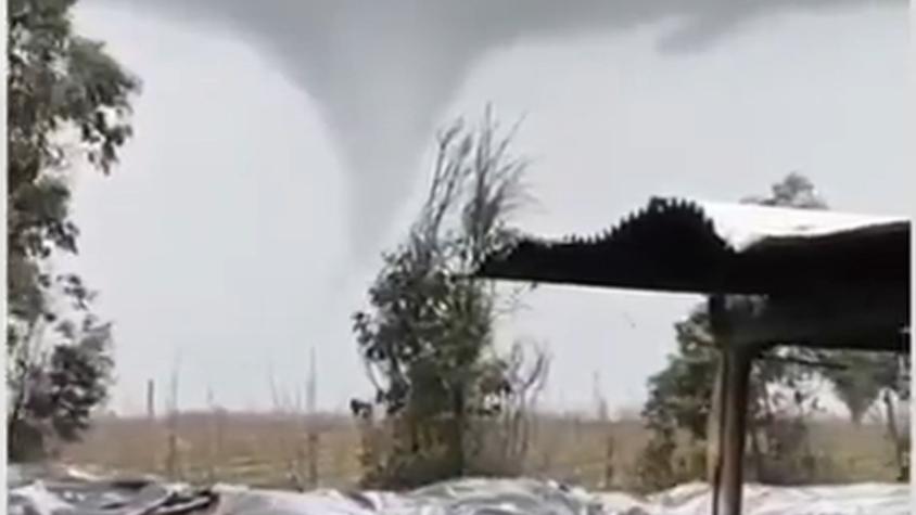 Videos: tres tornados afectaron a comunas de la región de Ñuble