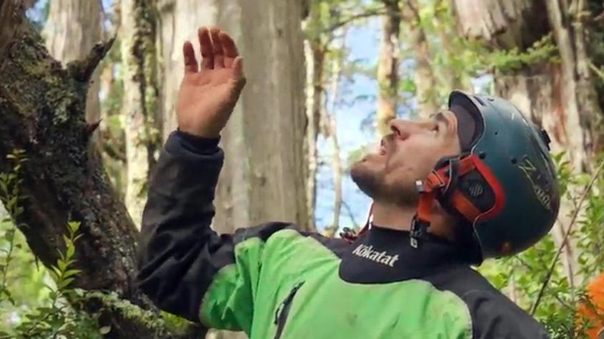 Sintieron el llamado de la naturaleza: “El Clan” descubre el que podría ser el árbol más antiguo del mundo Sintieron el llamado de la naturaleza: “El Clan” descubre el que podría ser el árbol más antiguo del mundo