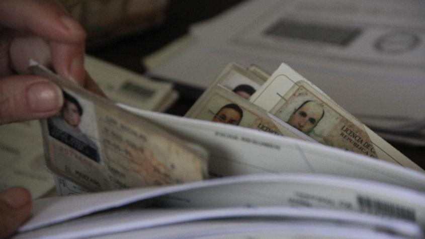 Nuevo requisito para renovar la licencia de conducir: el alto costo de entregar información falsa Nuevo requisito para renovar la licencia de conducir: el alto costo de entregar información falsa