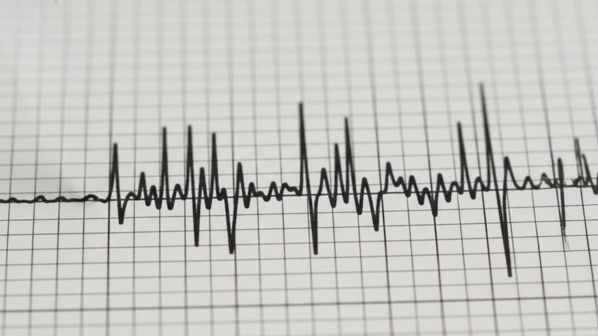 Sismo se registra en la zona central del Chile: epicentro fue en Navidad
