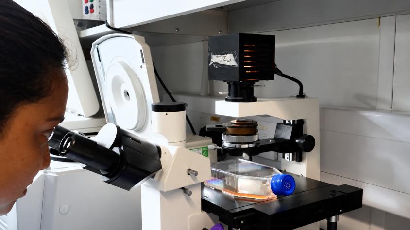 Muerte en laboratorio de Rusia genera alarma por posible brote de peste neumónica: esto se sabe Muerte en laboratorio de Rusia genera alarma por posible brote de peste neumónica: esto se sabe