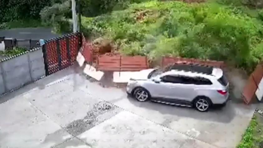 Perro se salvó de milagro de impresionante deslizamiento de tierra en cerro de Lota: "Vio que la cosa se venía fea" Perro se salvó de milagro de impresionante deslizamiento de tierra en cerro de Lota: "Vio que la cosa se venía fea"
