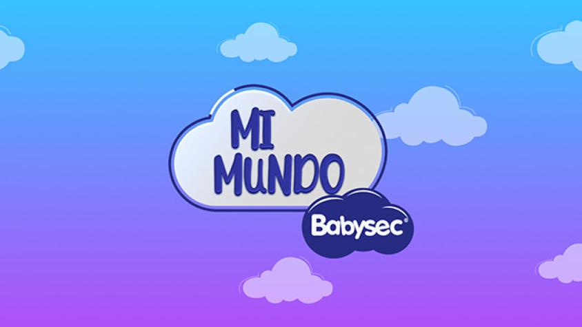 Mi Mundo Babysec