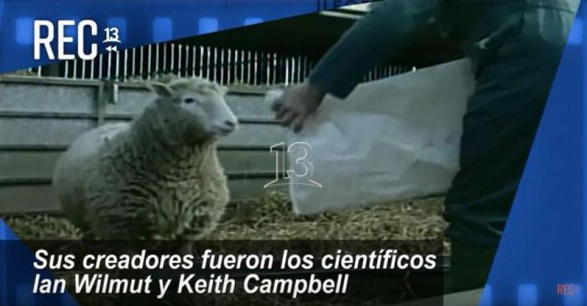 #MomentosREC: La oveja Dolly, Primer mamífero clonado (1997)
