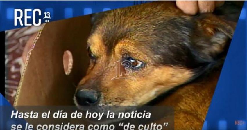 #MomentosREC: El perro que habla, Teletrece (1998)