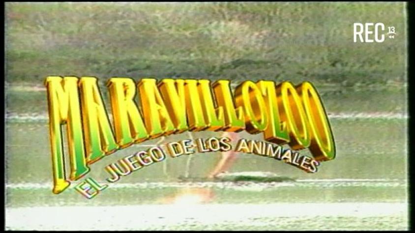 Introducción Maravillozoo (1995)